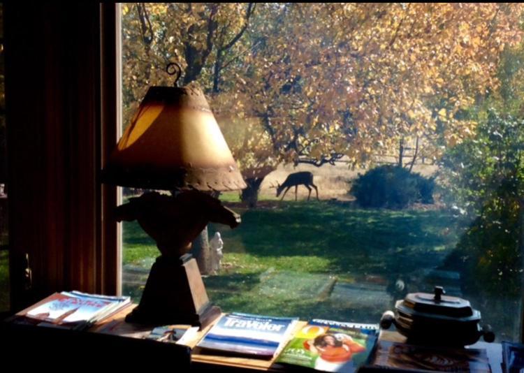 Sundance Suite - Prairie Rose Bed & Breakfast シャイアン エクステリア 写真